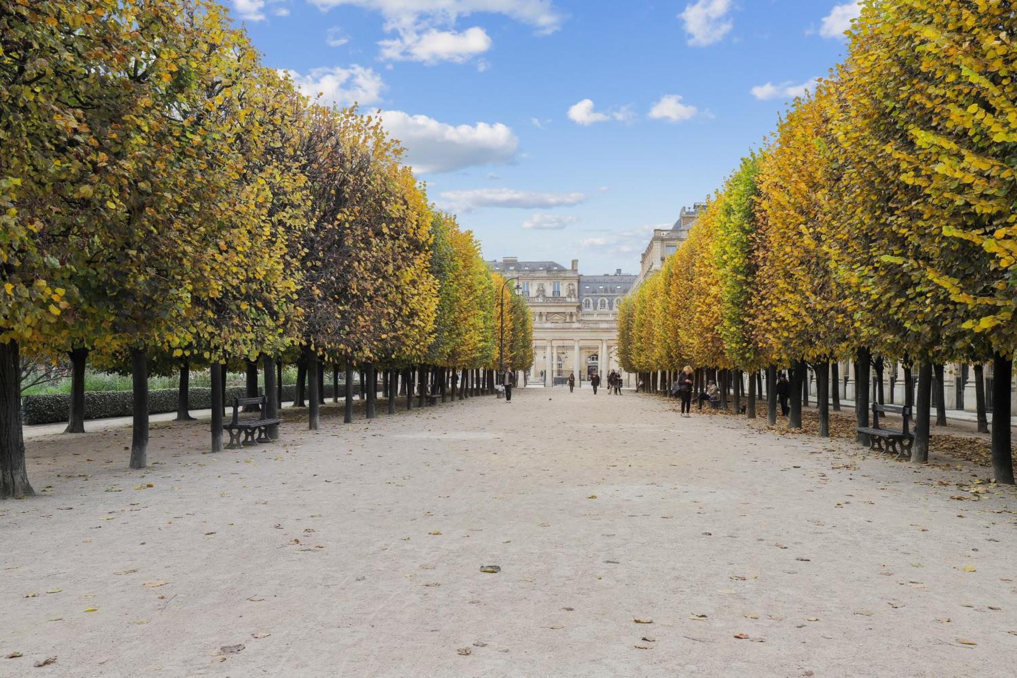 Lavie Maison Face Palais Royal パリ エクステリア 写真